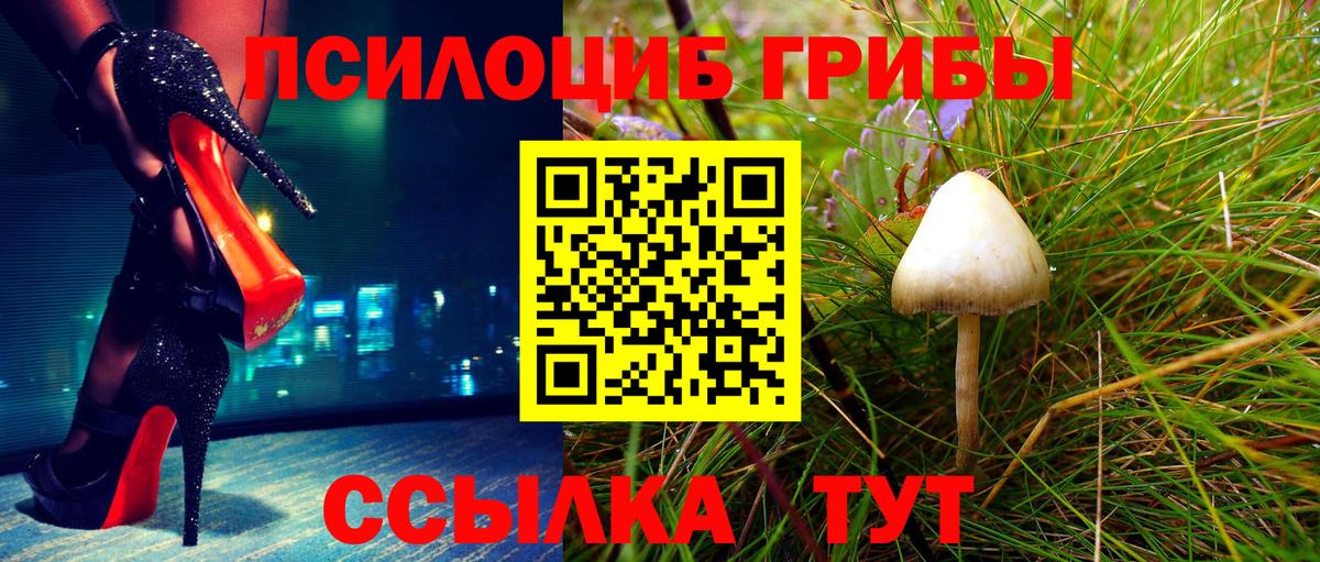 Галлюциногенные грибы Cubensis Мирный