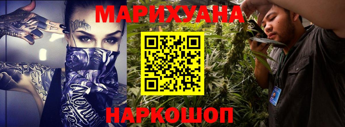 Бошки марихуана планчик  Конопля семена  Мирный  Бошки марихуана LSD WEED  Конопля индика  Вход с VPN 
